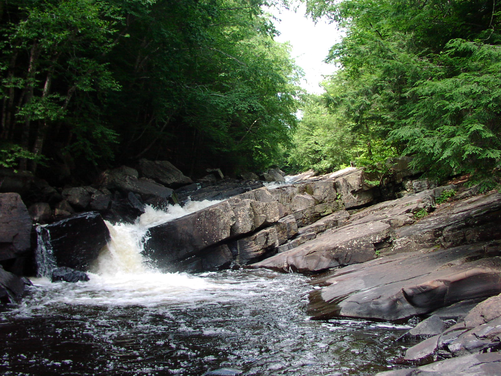 Large Mountain Bike Loop Trail System near Speculator