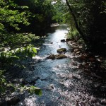 Jessup River through Perkins Clearing