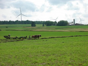 Wind Power with Horse Power, near Lowville